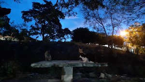Parque Divino Niño - photo 1