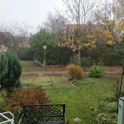 Wels Paul - Elagage 67 Strasbourg à Mundolsheim