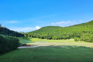 Shiroganezaka Golf Club image
