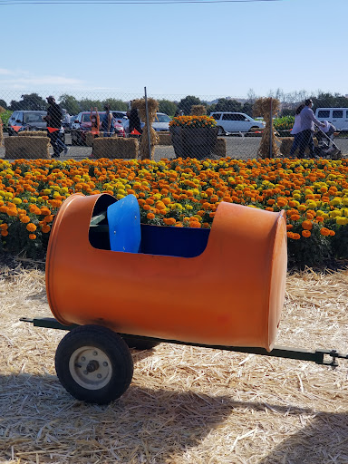 Pumpkin Patch «Spina Farms», reviews and photos, Santa Teresa Blvd, Morgan Hill, CA 95037, USA