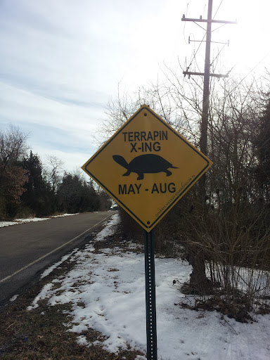 Golf Course «Ocean County Golf Course at Atlantis», reviews and photos, 261 Country Club Blvd, Tuckerton, NJ 08087, USA