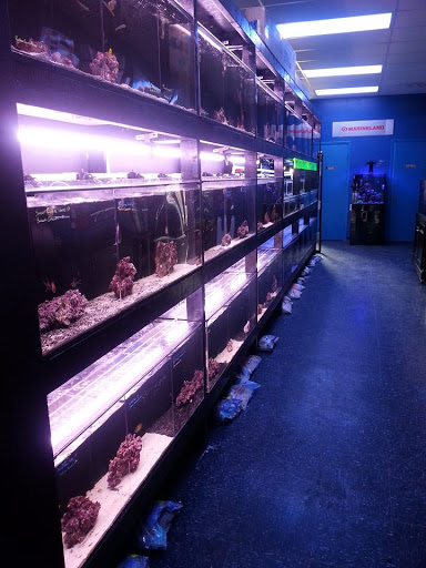 Tropical Fish Store «Reef Oasis», reviews and photos, 7669 Mentor Ave, Mentor, OH 44060, USA