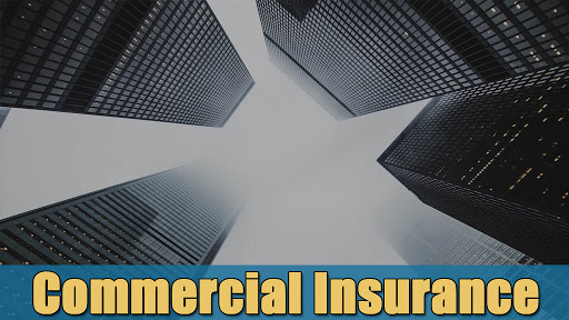 Insurance Agency «Kapasu Insurance Services Inc.», reviews and photos