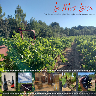 Le Mas Lorca à Villeveyrac