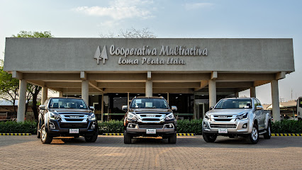 Cooperativa Multiactiva Loma Plata Ltda.