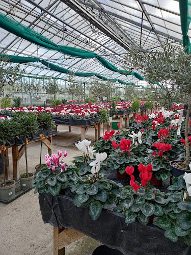 Reviews of Forest View Nursery in Newport - Landscaper