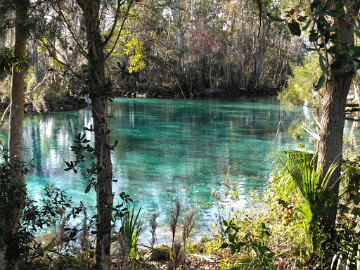 Thrift Store «Crystal River Super Thrift Store», reviews and photos, 820 S Suncoast Blvd, Homosassa, FL 34448, USA