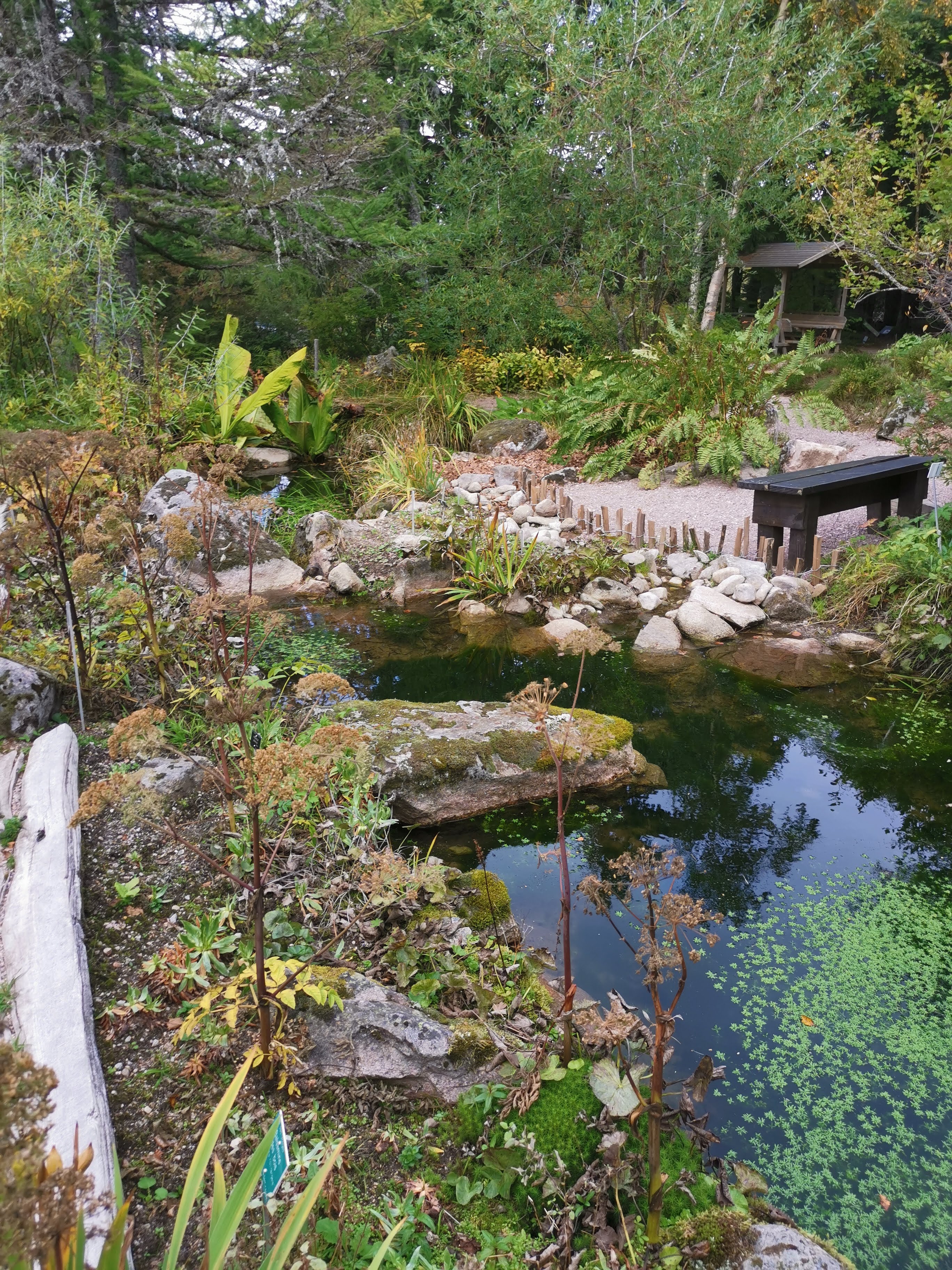 Photo n° 1 de l'avis de Marie.e fait le 03/10/2023 à 06:05