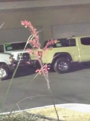 Used Car Dealer «Pacific Auto Center», reviews and photos, 16416 Valley Blvd, Fontana, CA 92335, USA