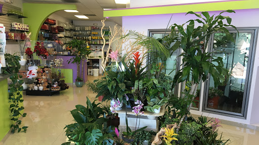 Florist «Elite Flowers and Gifts», reviews and photos, 20280 N 59th Ave #116, Glendale, AZ 85308, USA
