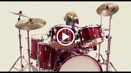 Cell Phone Store «Cellular Mobile Services», reviews and photos, 329 Warren Ave, East Providence, RI 02914, USA