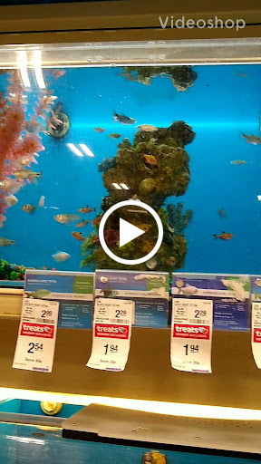 Pet Supply Store «PetSmart», reviews and photos, 842 Dawsonville Hwy, Gainesville, GA 30501, USA