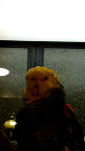 Animal Feed Store «New Braunfels Feed & Supply», reviews and photos, 810 Loop 337, New Braunfels, TX 78130, USA