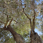 Photo n°4 de l'avis de Registro.r fait le 31/08/2021 à 20:48 sur le  Ostello Ristorante Su Mannau à Fluminimaggiore