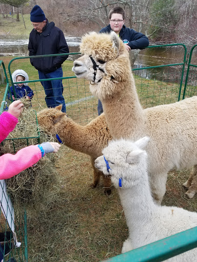 Park «Oliver Mill Park», reviews and photos, Nemasket St, Middleborough, MA 02346, USA