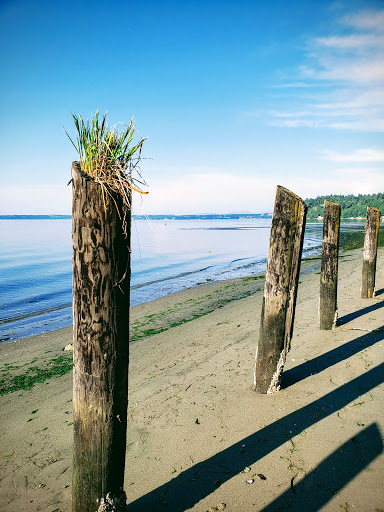 State Park «Dash Point State Park», reviews and photos, 5700 SW Dash Point Rd, Federal Way, WA 98023, USA