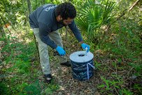 VDCI Mosquito Management - Photo 9 - Car repair in Scott, LA, Lafayette