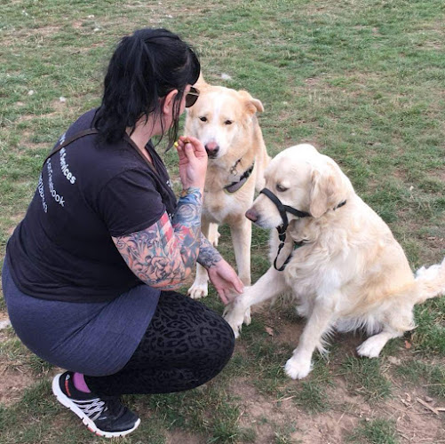 Reviews of Lizzy's Pet Services in Northampton - Dog trainer