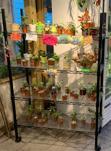 Grocery Store «Bayshore Market», reviews and photos, 5025 Bayshore Blvd, Tampa, FL 33611, USA