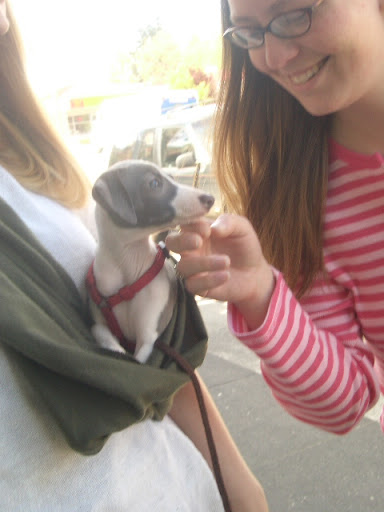 Pet Store «Exclusive Pet Supply», reviews and photos, 21829 NE Halsey St, Fairview, OR 97024, USA