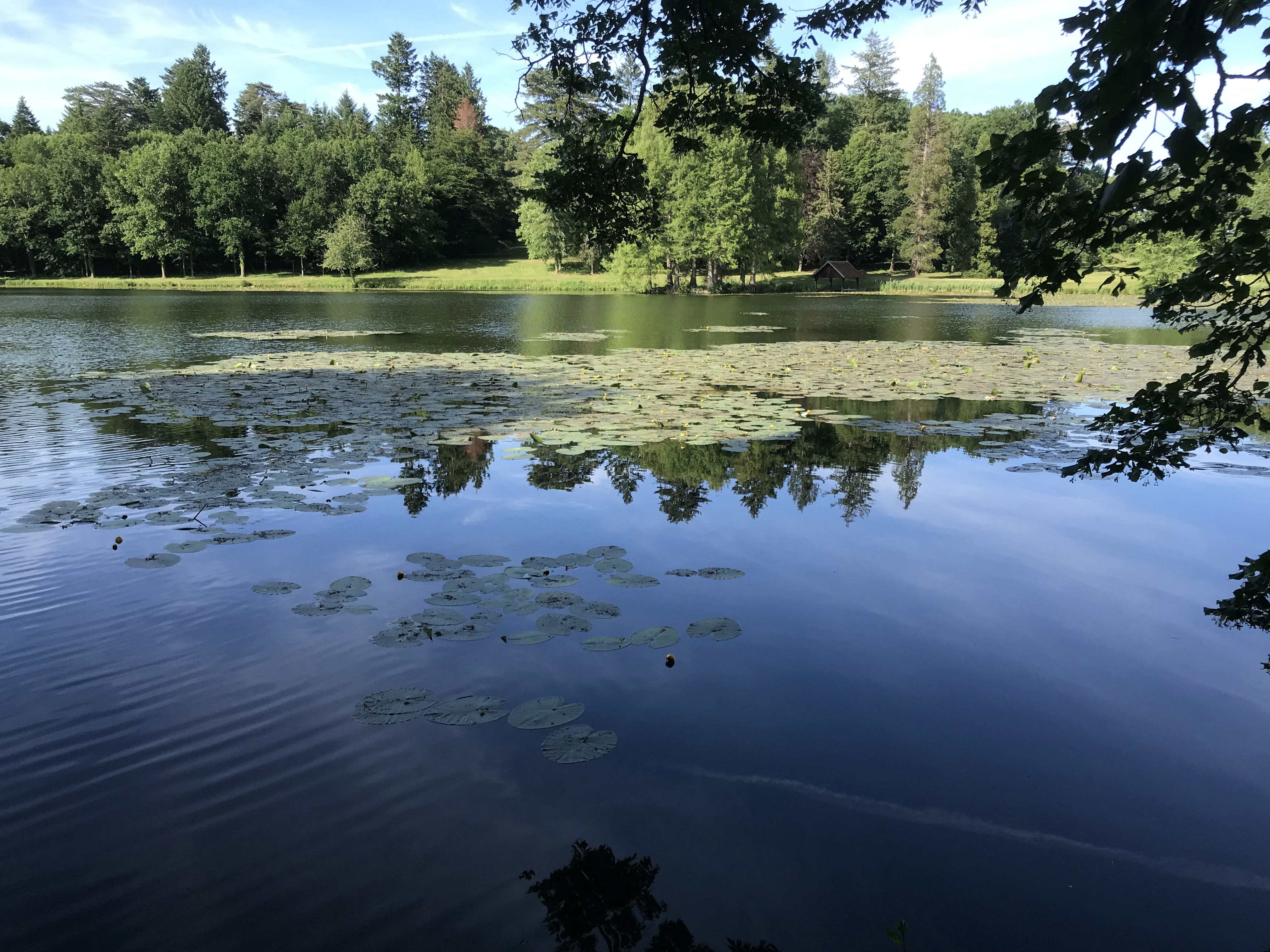 Photo n° 3 de l'avis de thibault.o fait le 02/07/2019 à 22:25