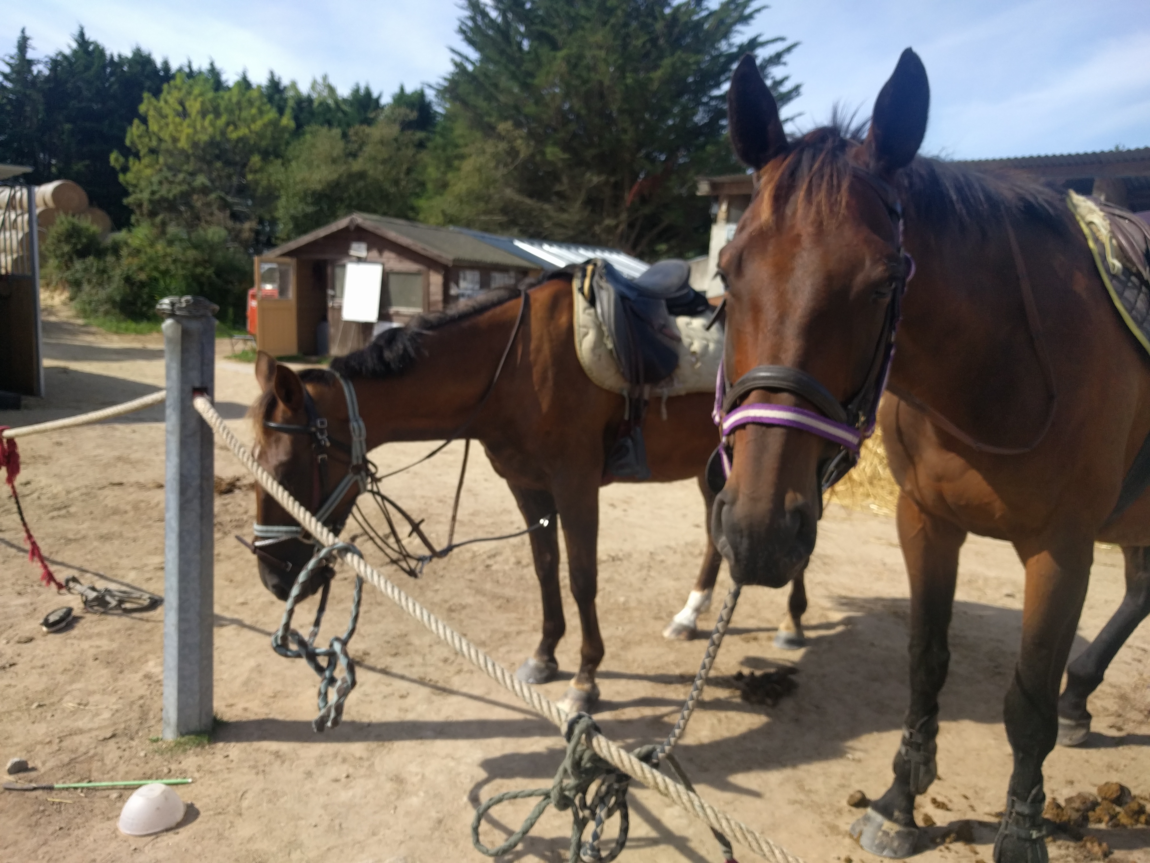 Photo n° 3 de l'avis de Léa.e fait le 15/08/2017 à 15:58