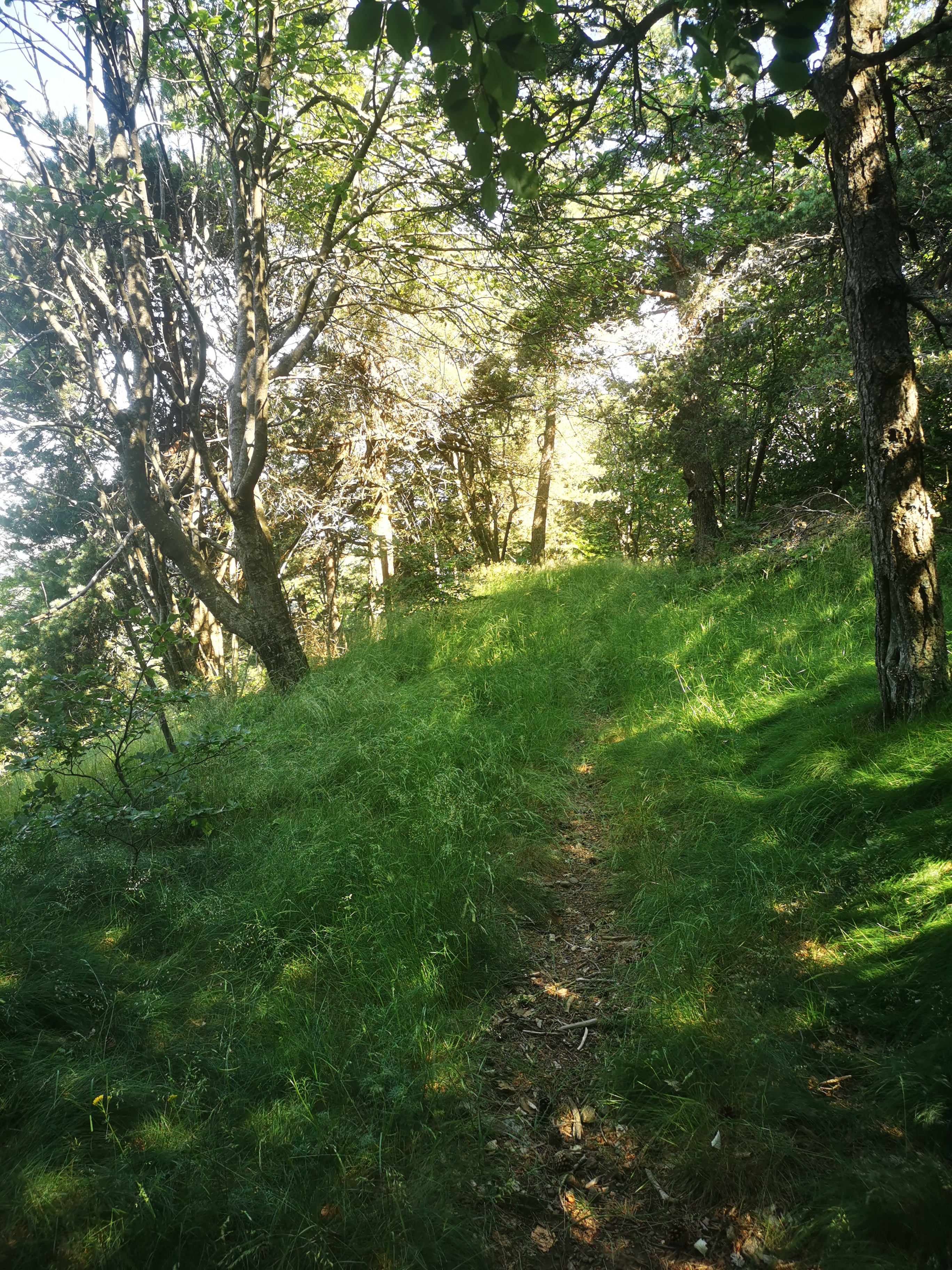 Photo n° 42 de l'avis de Seb. fait le 14/07/2023 à 04:55