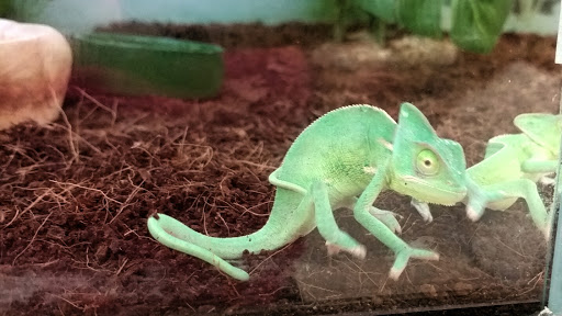 Pet Supply Store «Petco Animal Supplies», reviews and photos, 5631 Grove Blvd, Hoover, AL 35226, USA