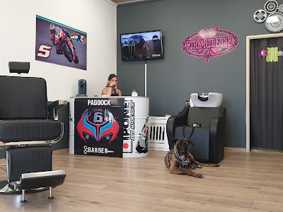 PADDOCK BARBER / TATOO à Limoux