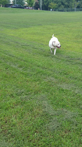 Community Center «Plum Gar Community Center», reviews and photos, 19561 Scenery Dr, Germantown, MD 20876, USA