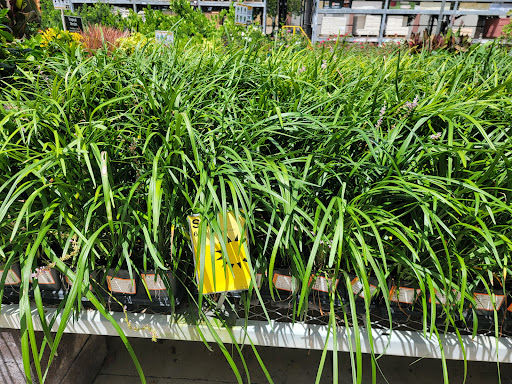 Home Improvement Store «The Home Depot», reviews and photos, 1590 W 49th St, Hialeah, FL 33012, USA