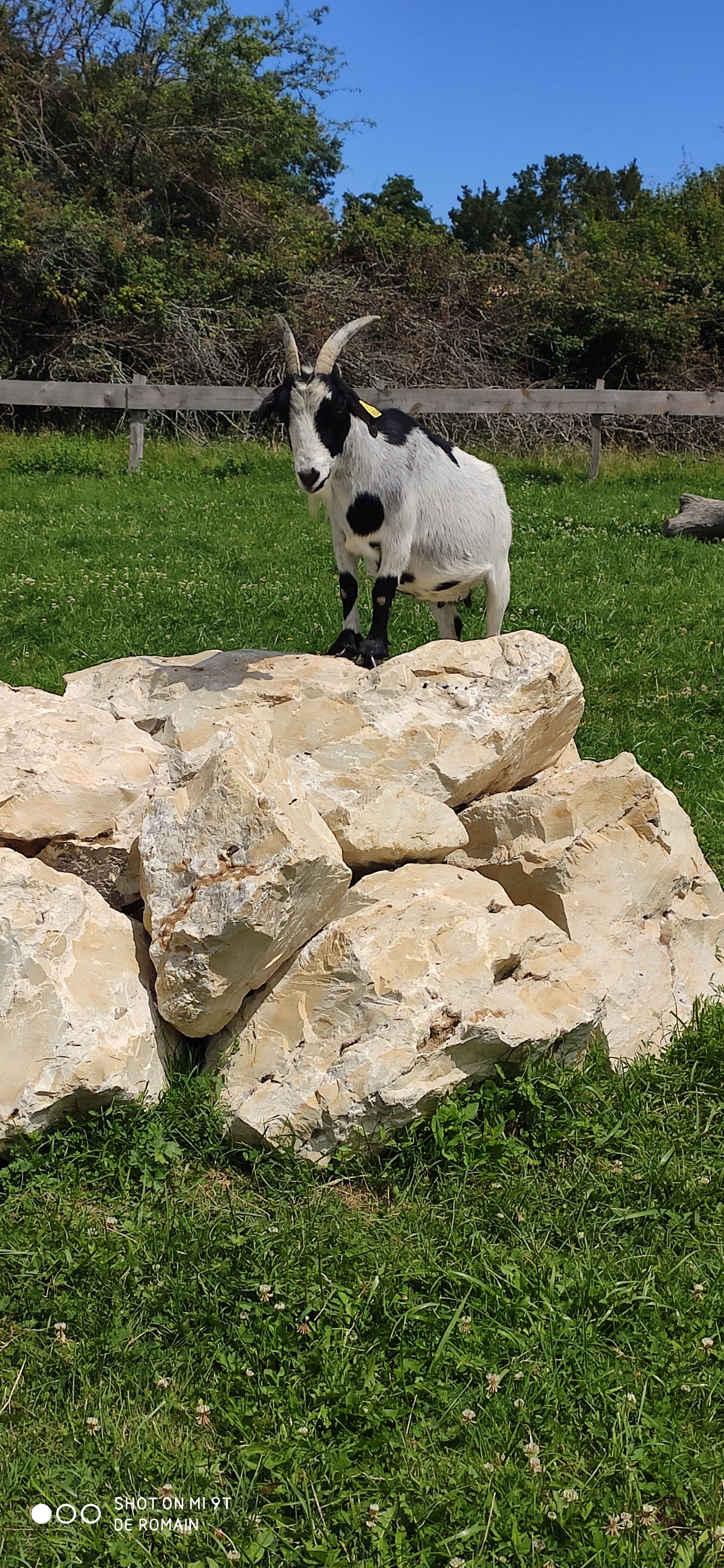 Photo n° 1 de l'avis de Romain.o fait le 12/07/2020 à 18:05