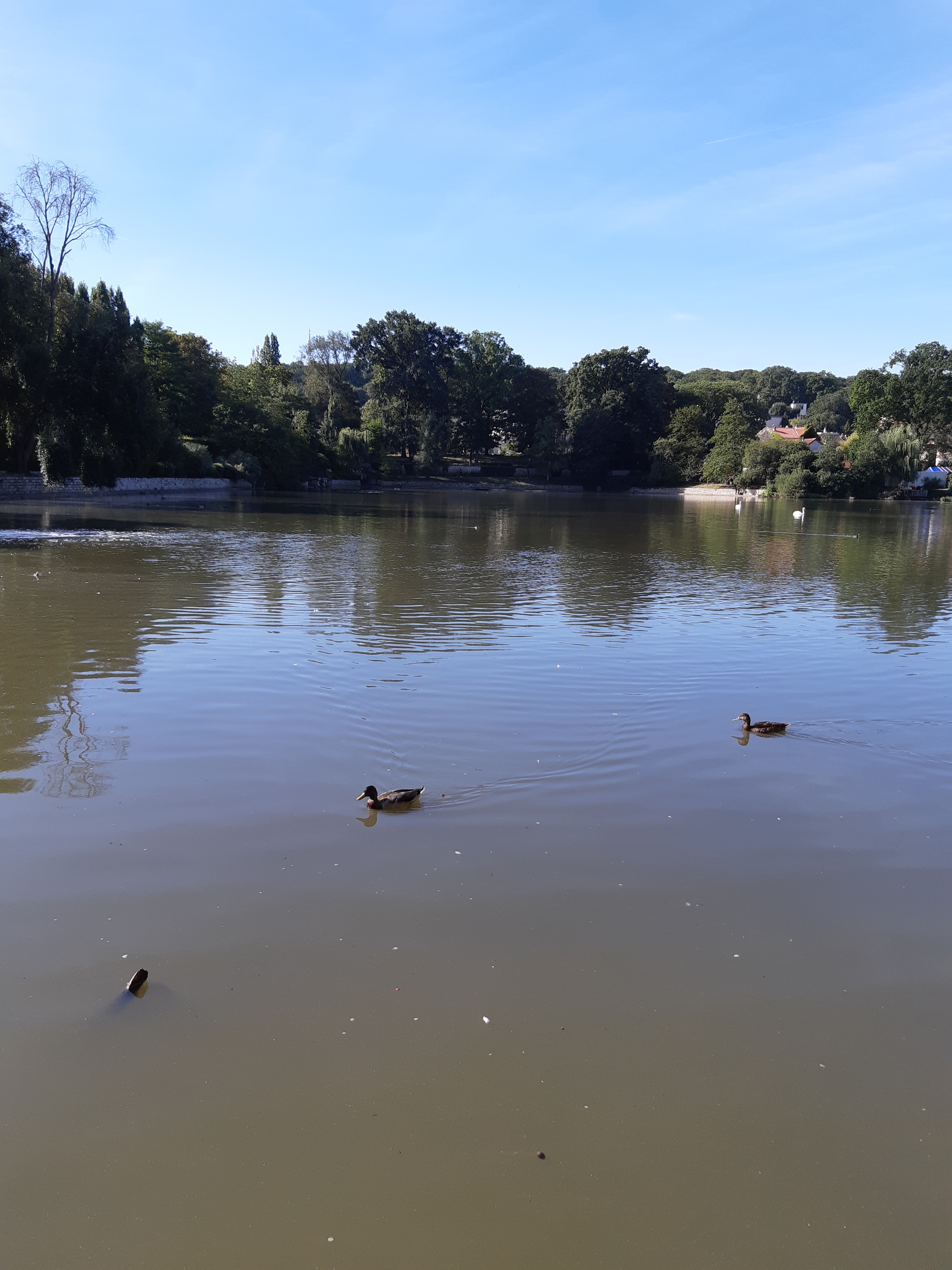 Photo n° 4 de l'avis de Jean-Luc.e fait le 15/12/2018 à 04:22