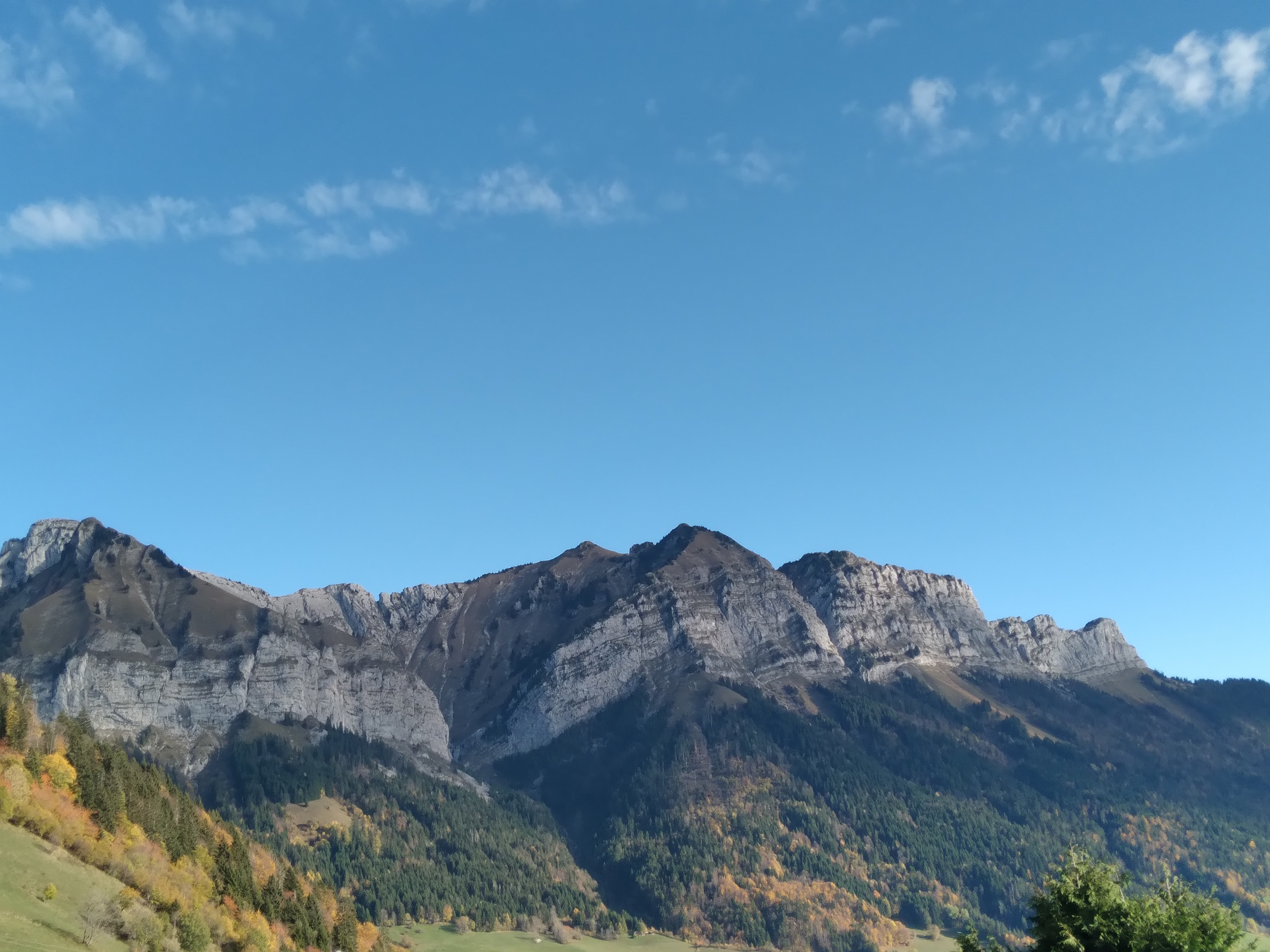 Photo n° 1 de l'avis de Andrewsaaaa. fait le 13/11/2022 à 23:24