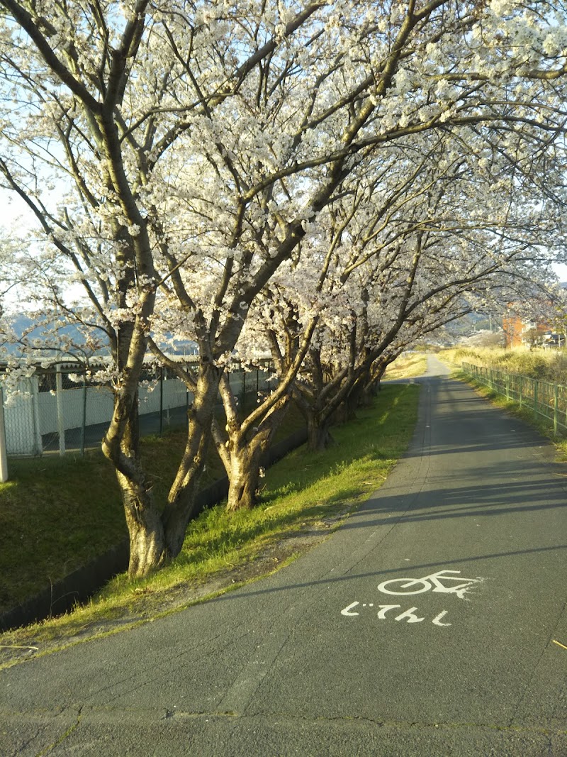 滋賀県立甲西高等学校