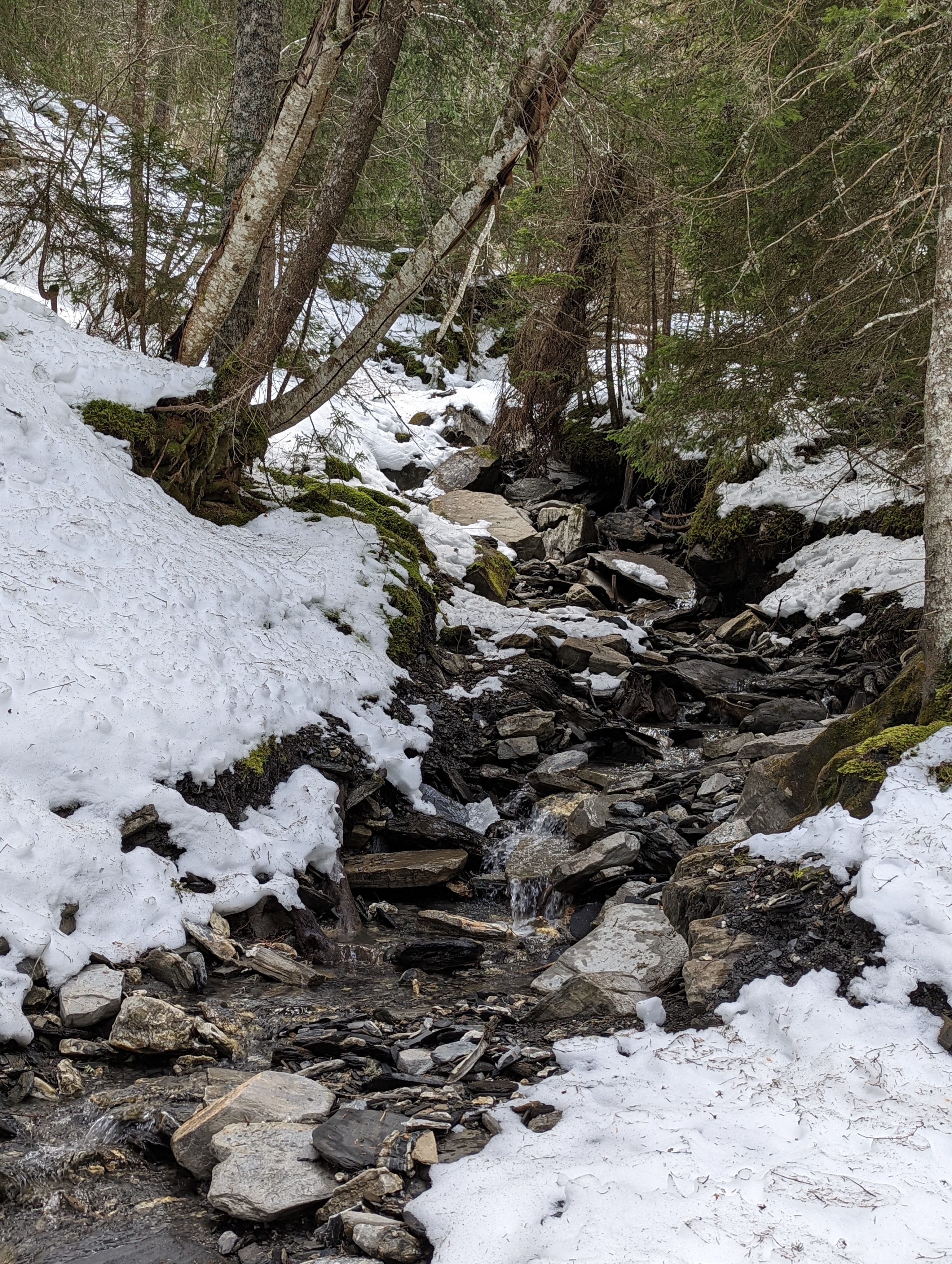 Photo n° 14 de l'avis de Stephane.a fait le 23/02/2023 à 21:46