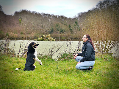 Gwenn Le Meur - Educateur Canin & Coach-comportementaliste animalier à Ploubezre