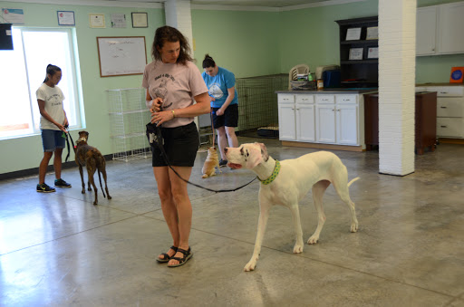 Dog Trainer «Mad 4 My Dog», reviews and photos, 702 E Temperance St, Ellettsville, IN 47429, USA