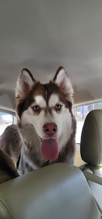 Melly's Clip-N-Dip - Photo 7 - Car repair in Denham Springs, LA, Baton Rouge