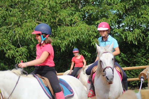 Centre équestre Segala Levezou Equitation Requista