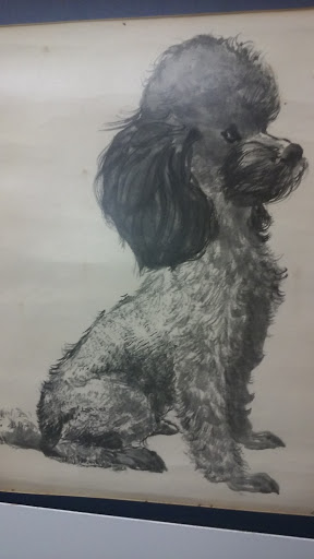 Thrift Store «Goodwill Windsor Woods Retail Store», reviews and photos, 229 S Rosemont Rd, Virginia Beach, VA 23452, USA