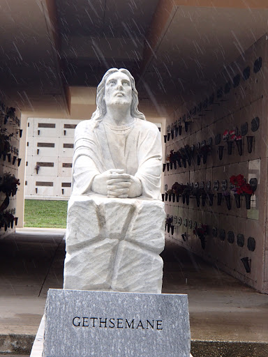 Funeral Home «North/Meadowlawn Funeral Home & Cemetery», reviews and photos, 4244 Madison St, New Port Richey, FL 34652, USA