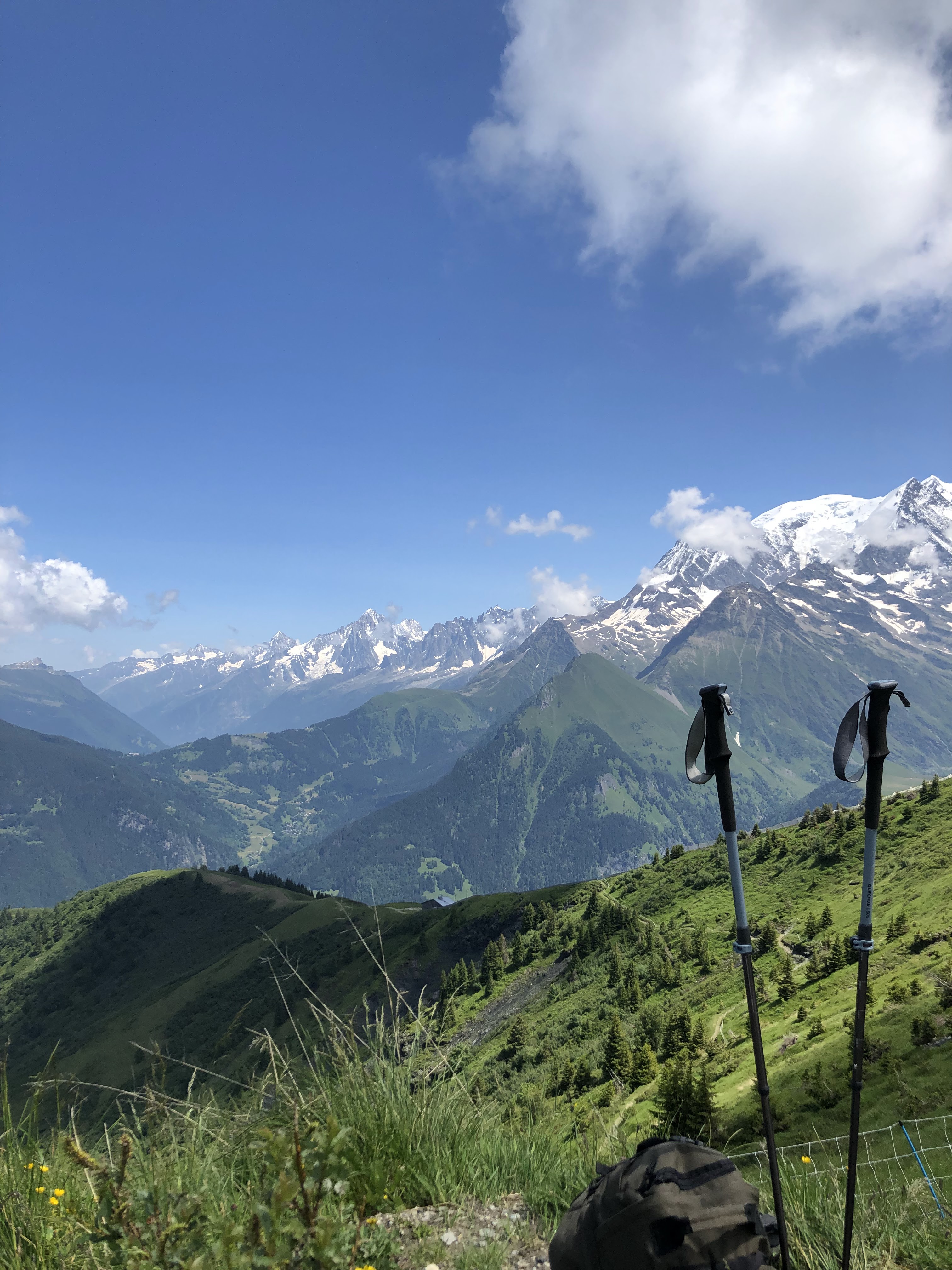 Photo n° 2 de l'avis de Virgile. fait le 20/07/2021 à 19:18