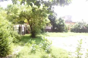 Rampuri Colony Park image