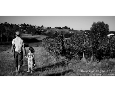 Domaine Coquelicot à Villefranche-de-Lonchat