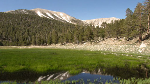 San Bernardino National Forest Headquarters