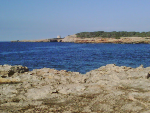 Información y opiniones sobre Adeenne Gestión de la Comunicación Corporativa de Valencia