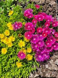 Denver Landscaping Pros - Photo 6 - Car repair in , Boulder