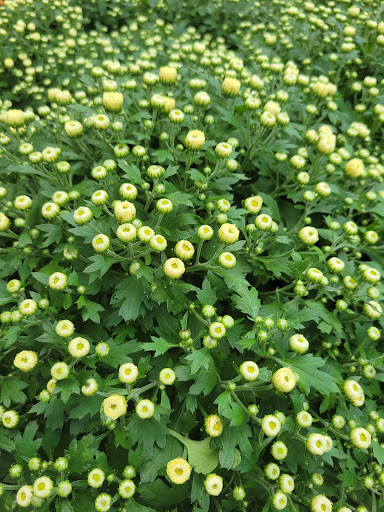 Home Improvement Store «The Home Depot», reviews and photos, 10233 Lakeridge Pkwy, Ashland, VA 23005, USA