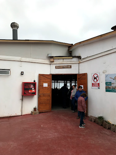 Centro Gastronómico Caleta San Pedro - La Serena